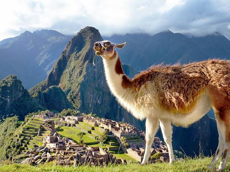 Cusco y Machu Picchu en Tren 5 Días y 4 Noches